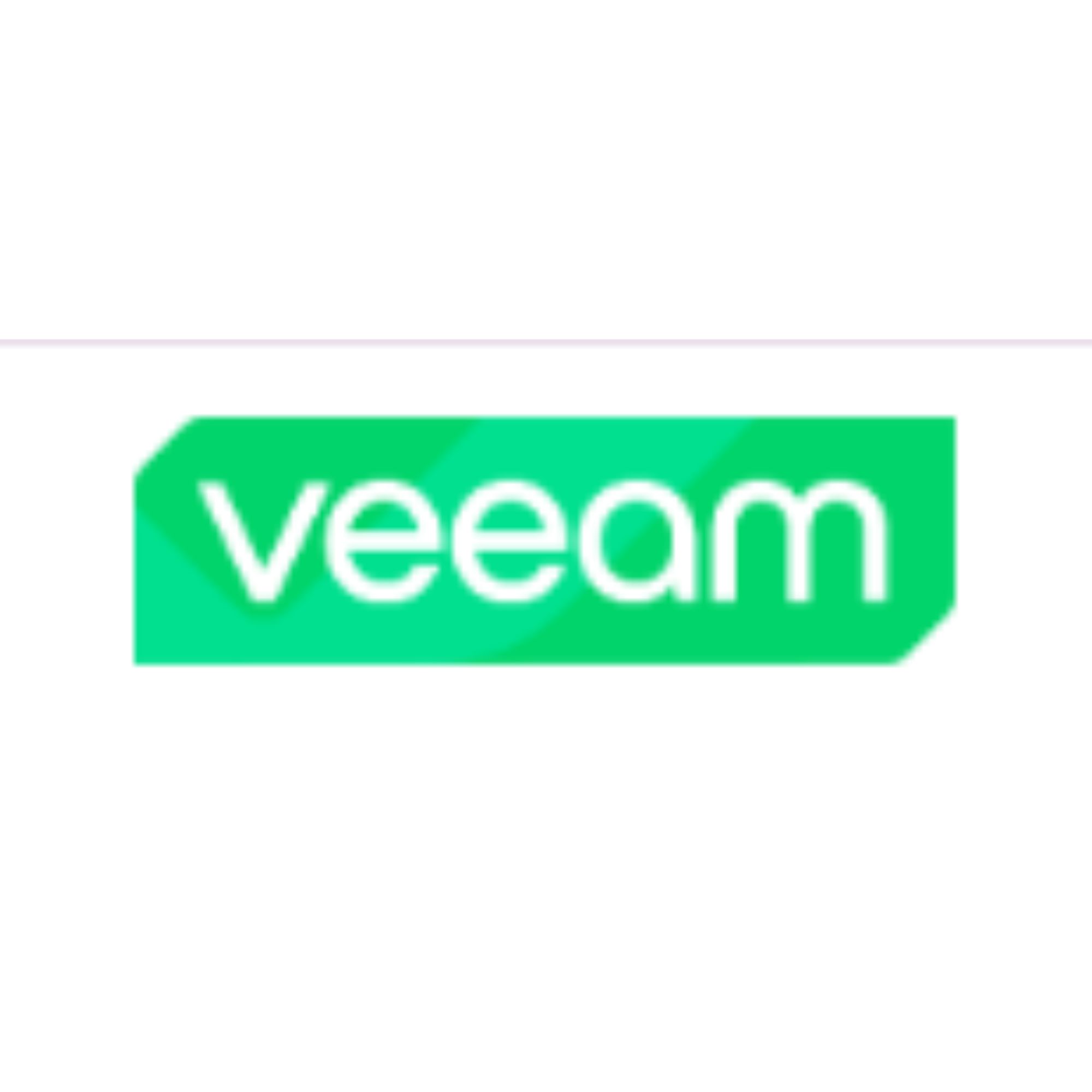 Veeam US logo